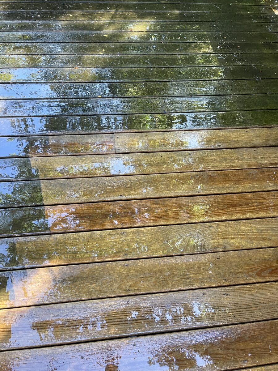 Close-up of a deck mid-wash, algae and grime on one side next to freshly rinsed wood, Commerce MI